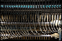 52_IMG_4496