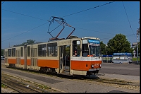 089_IMG_1290