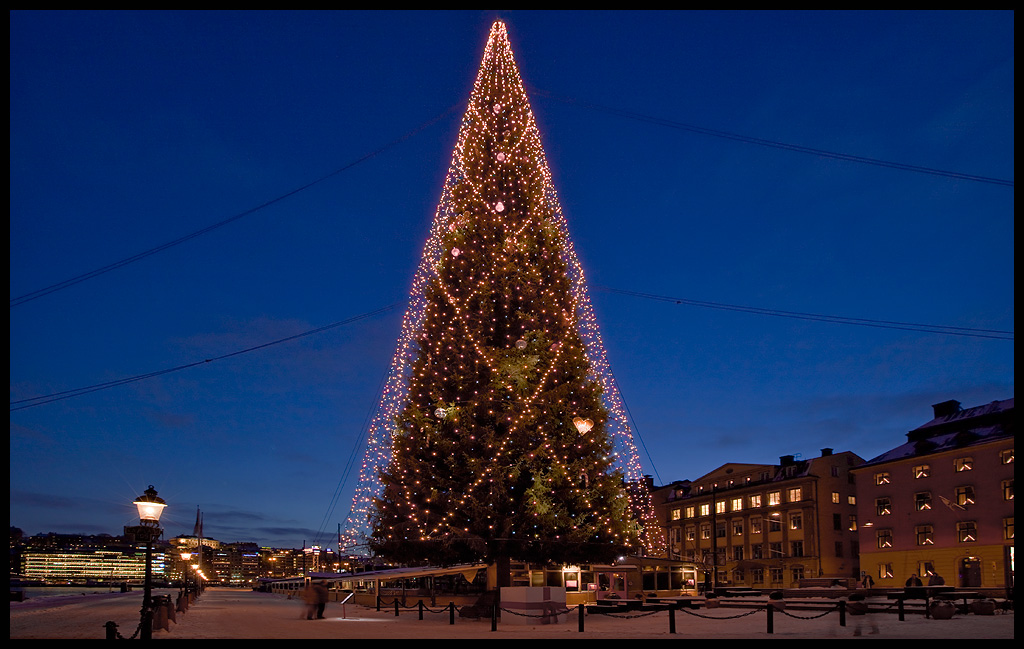 14-IMG_9334.jpg