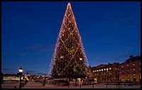 14-IMG_9334