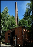 131