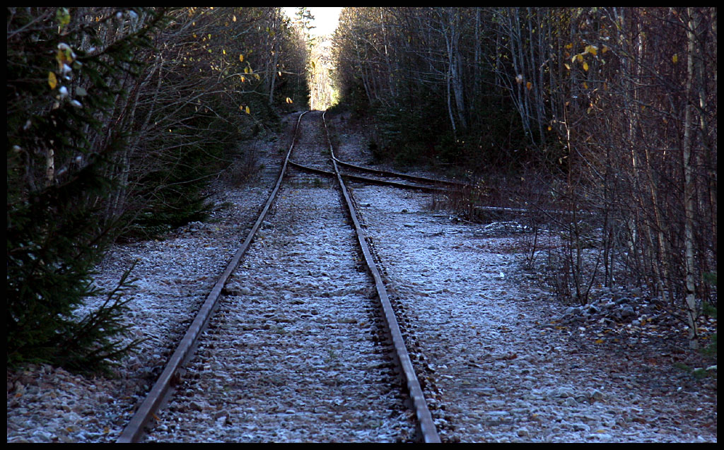 04.jpg