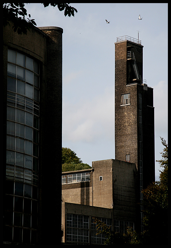 04.jpg