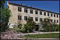 IMG_4438